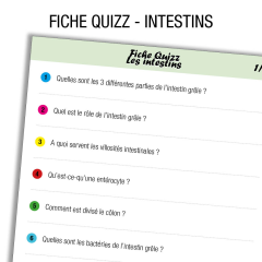 Fiche IDE Anatomie Intestin Quiz     