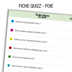 Anatomie Foie Quiz             