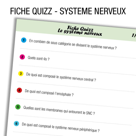 Anatomie Systeme nerveux Quiz       