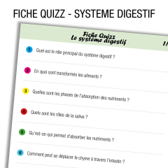 Anatomie Système digestif Quiz      