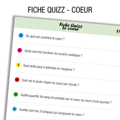 Anatomie Coeur Quiz      