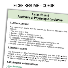 Anatomie Coeur Résumé        