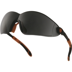 Del+ LUNETTE VULCANO2 FUME