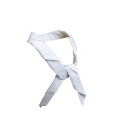 PBV TOUR DE COU COTON BLANC T