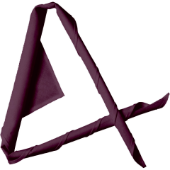 Tour de cou bordeaux