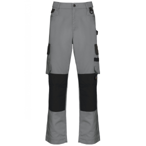 Pantalon de travail bicolore Silver / Black