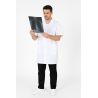 Blouse Médicale Homme Manches courte col Tailleur