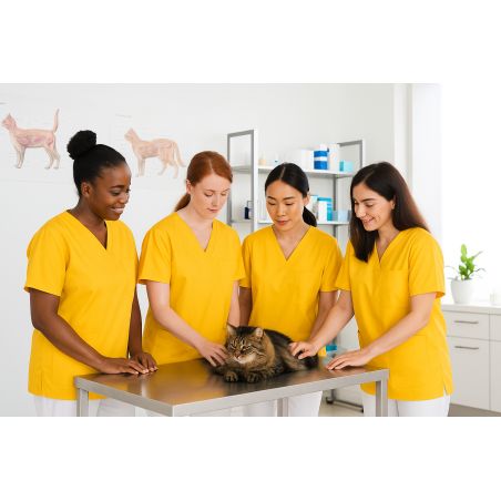 Tunique medicale Jaune Homme Femme Kine dentisite infirmiere ergo veterinaire