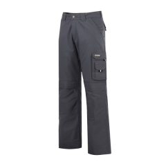 PANTALON DE TRAVAIL DASSY