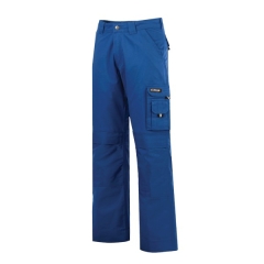 PANTALON DE TRAVAIL DASSY