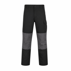 Pantalon de travail DASSY...