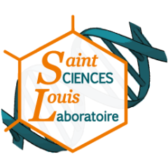 Broderie Logo du Lycée au...