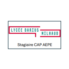 Marquage Logo Lycée Darius...