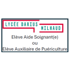 Marquage Logo Lycée Darius...