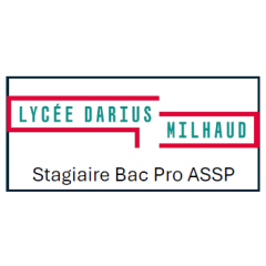 Marquage Logo Lycée Darius...