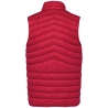 Bodywarmer écoresponsable léger homme Native Spirit – Rouge Hibiscus – vue 2