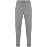 Pantalon de jogging écoresponsable homme Native Spirit Gris