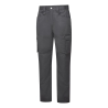 Pantalon cargo WX2 Eco tissu Kingsmill multipoches Gris métal coupe courte – Portwest CD825