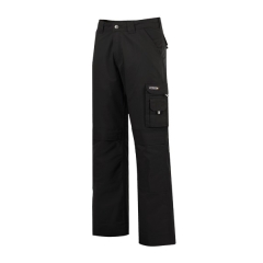 Dassy Pantalon de travail...