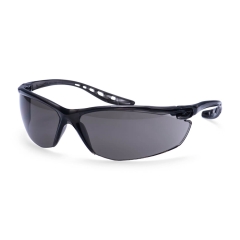 Lunettes de sécurité légères verre courbure base 10 Fumé – Portwest PW14