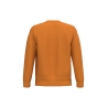Sweat-shirt col rond unisexe Orange Pumpkin Kariban – vue 2