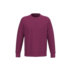 Sweat-shirt écoresponsable col rond Bordeaux Native Spirit