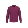 Sweat-shirt écoresponsable col rond Bordeaux Native Spirit