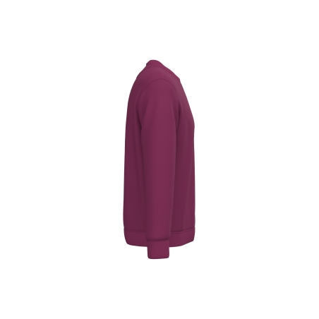 Sweat-shirt écoresponsable col rond Bordeaux Native Spirit – vue 3