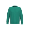 Sweat-shirt écoresponsable col rond Vert Gemstone Green Native Spirit