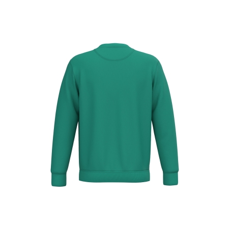Sweat-shirt écoresponsable col rond Vert Gemstone Green Native Spirit – vue 2