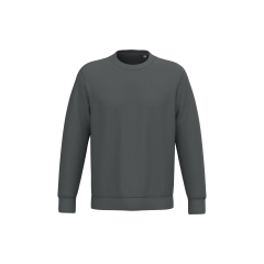 Sweat-shirt écoresponsable col rond unisexe Gris Native Spirit