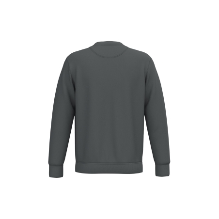 Sweat-shirt écoresponsable col rond unisexe Gris Native Spirit – vue 2