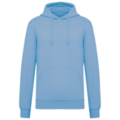 Sweat capuche écoresponsable homme Ciel – Kariban