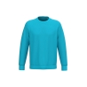 Sweat-shirt écoresponsable col rond Turquoise Native Spirit