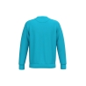 Sweat-shirt écoresponsable col rond Turquoise Native Spirit – vue 2
