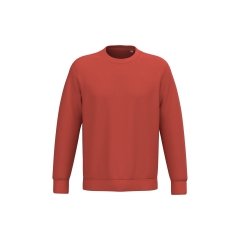 Sweat-shirt écoresponsable col rond Rouge Native Spirit