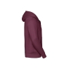Sweat zippé capuche Authentic bordeaux Russell – 280 g/m² – vue 3