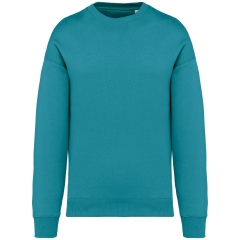 Sweat oversize col rond écoresponsable Bleu Native Spirit