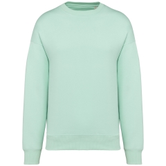 Sweat-shirt oversize écoresponsable col rond vert Native Spirit
