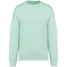 Sweat-shirt oversize écoresponsable col rond vert Native Spirit