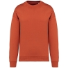 Sweat oversize col rond écoresponsable Rouge – Native Spirit