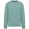 Sweat-shirt oversize écoresponsable col rond Vert jade Native Spirit