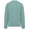 Sweat-shirt oversize écoresponsable col rond Vert jade Native Spirit – vue 2