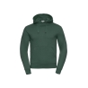 Sweat-shirt capuche Authentic homme Vert Russell