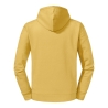 Sweat-shirt capuche Authentic Jaune Moutarde Russell – vue 2