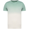 T-shirt écoresponsable Dip Dye Vert Jade Native Spirit