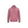 Sweat capuche écoresponsable Rose Antique Native Spirit