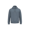 Sweat capuche écoresponsable unisexe Gris Native Spirit