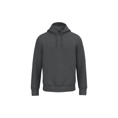 Sweat à capuche écoresponsable unisexe Gris Native Spirit