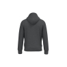 Sweat à capuche écoresponsable unisexe Gris Native Spirit – vue 2